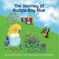 THE JOURNEY OF BUDGIE BOY BLUE